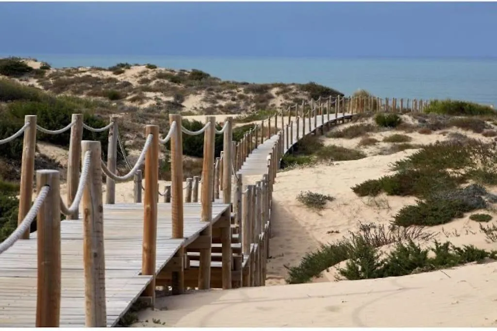 Apartment Sea Of Rome - Holiday Home Lido di Ostia